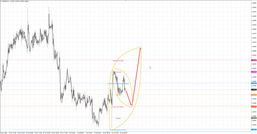 usdcad h1 19-05 13.07.18.jpg