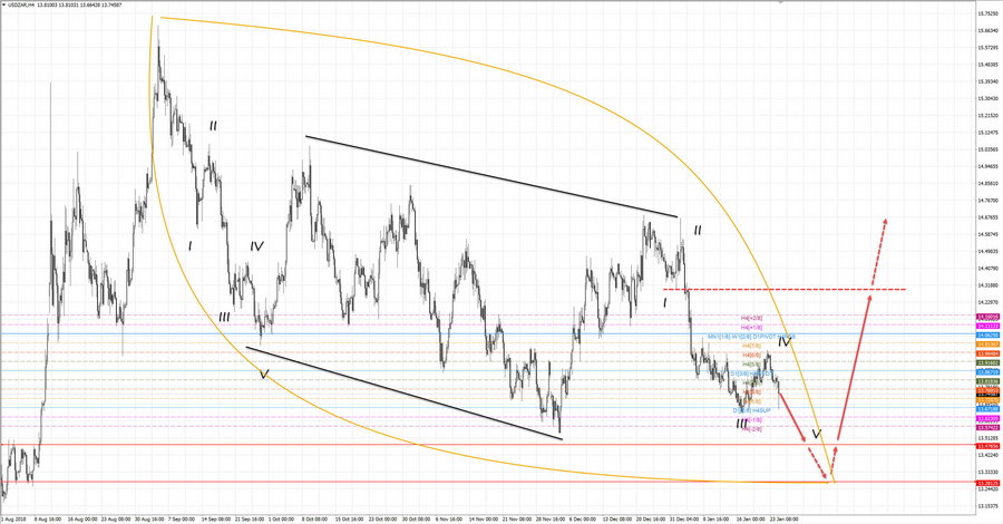 usdzar h4 20-30 24.01.19.jpg