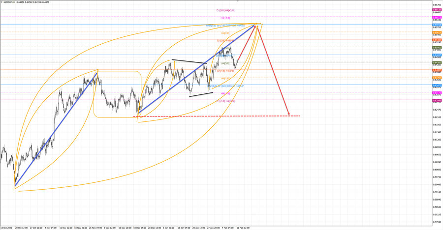 nzdchf h4 20-22 11.02.21.jpg