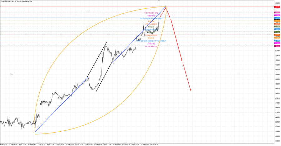 gold m30 20-26 19.10.23.jpg