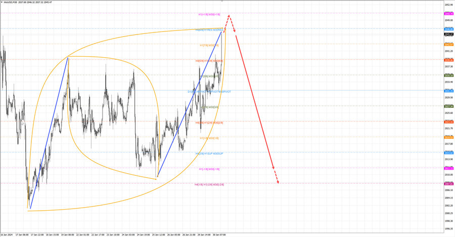 gold m30 17-25 30.01.24.jpg