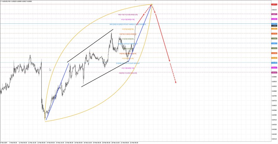 audusd m30 10-55 22.02.24.jpg