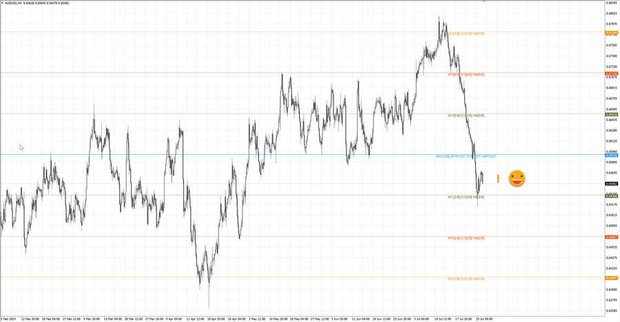 fact audusd h4 20.07.24.jpg