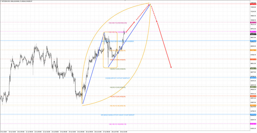 btcusd m30 07-19 29.07.24.jpg