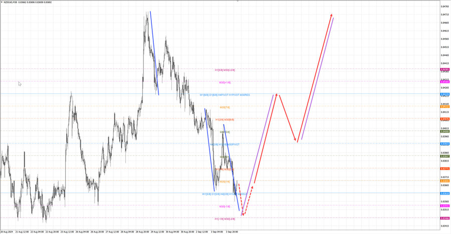 nzdcad m30 07-47 04.09.24.jpg