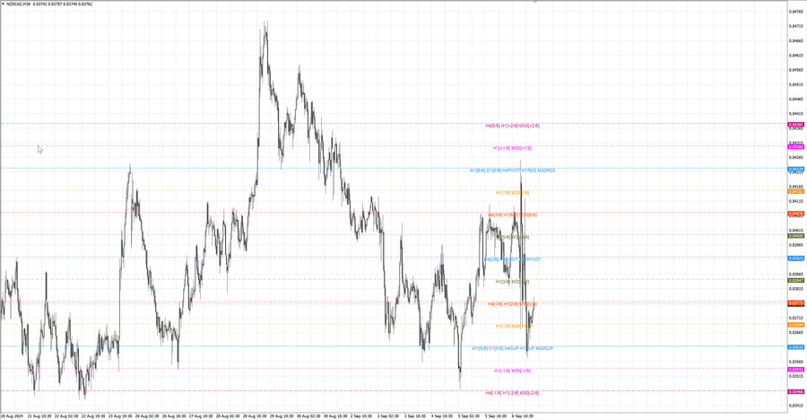 fact nzdcad m30 07-47 04.09.24.jpg