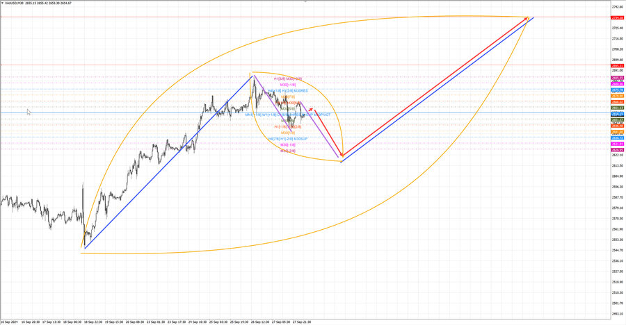 gold m30 07-54 30.09.24.jpg