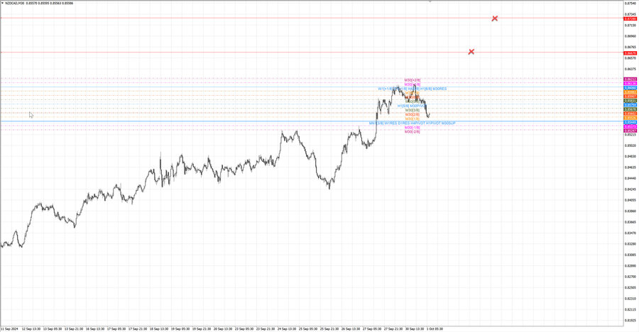 fact nzdcad m30 08-06 30.09.24.jpg