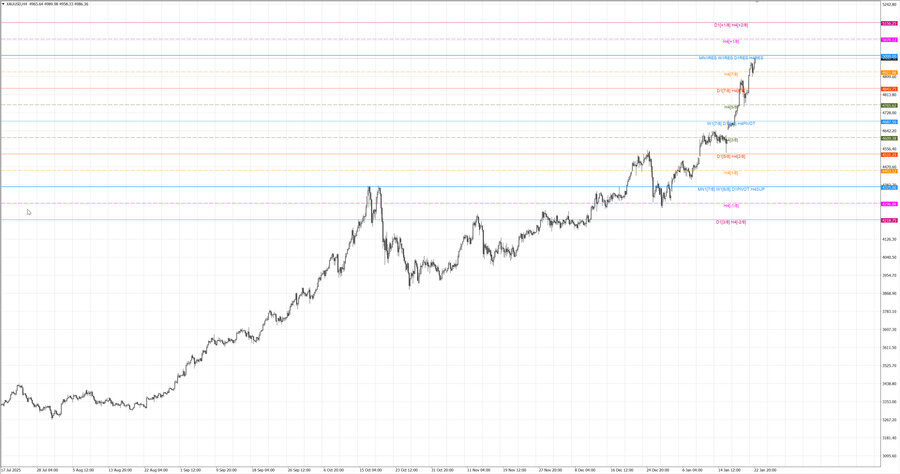fact gold h4 10.01.26.jpg