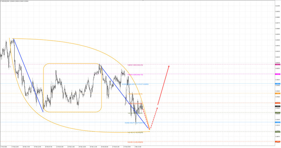 nzdusd m30 07-03 03.03.26.jpg